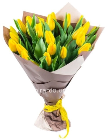 Tulipani gialli a scelta