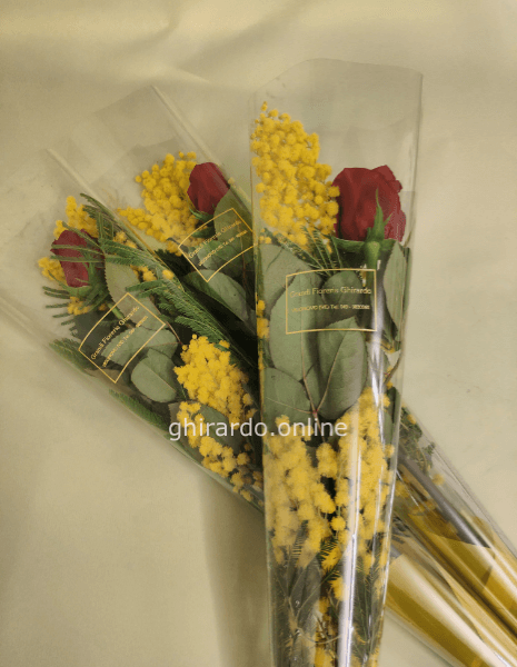 Rosa rossa con mimosa