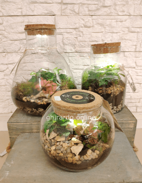 Terrarium