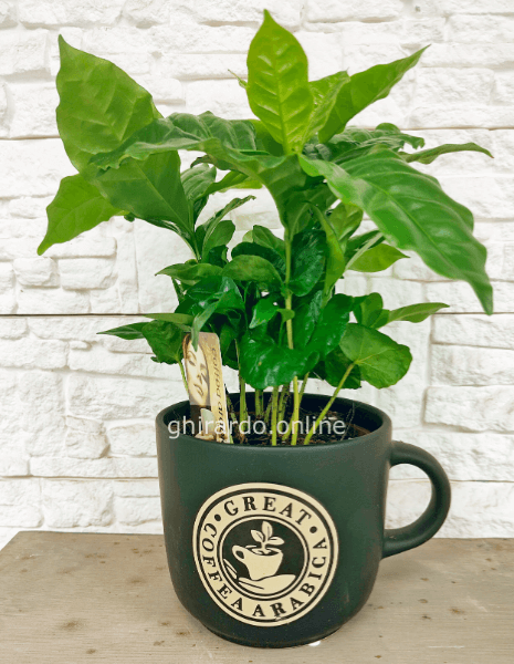 Caffè in tazza grande